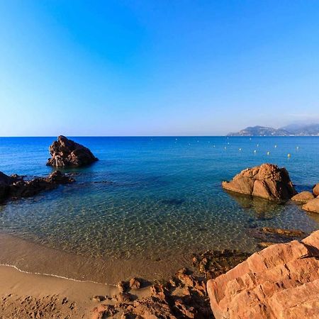 A 10 Min De La Croisette - Pieds Dans La Mer Cannes Ngoại thất bức ảnh