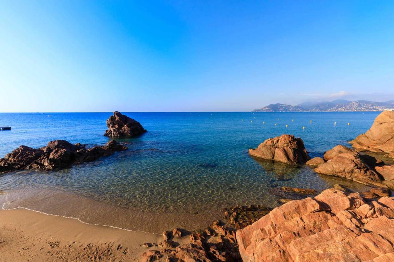 A 10 Min De La Croisette - Pieds Dans La Mer Cannes Ngoại thất bức ảnh